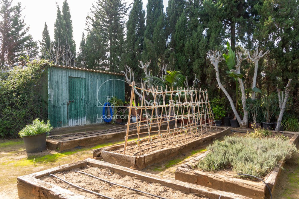 casa la siesta, privado, piedra, verde, árboles, piscina, piscina climatizada, interior, decoración, balcones