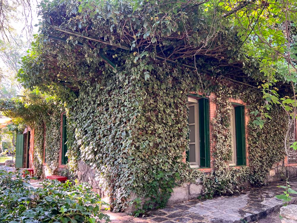 Fachada de piedra con ventanas y hiedra