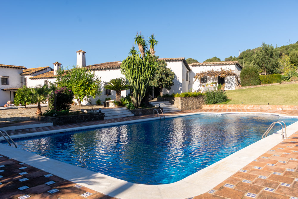 piscina, vintage, terraza, azulejo, palmeras, árboles