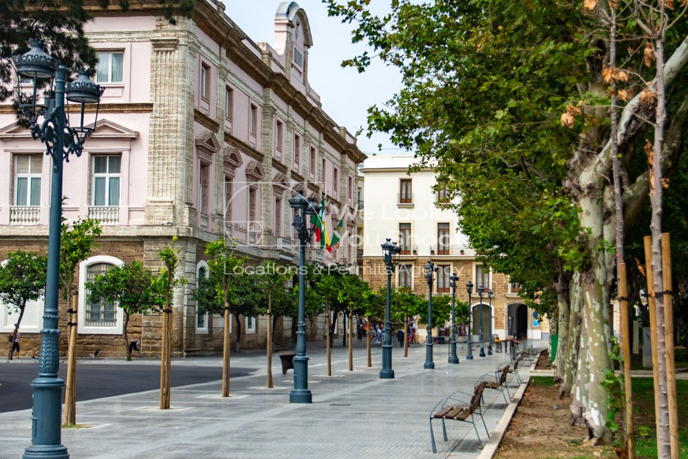 Publico, plaza, piedra, albero, jardín, parque, peatonal