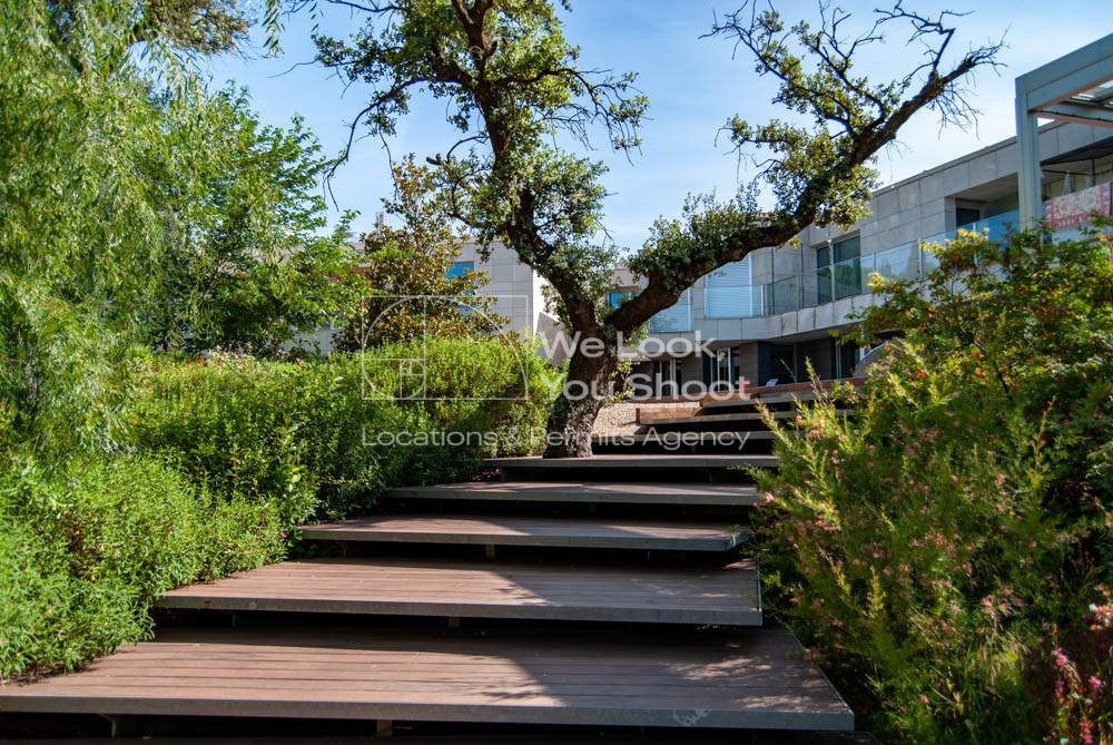 Vista de la casa desde el jardín