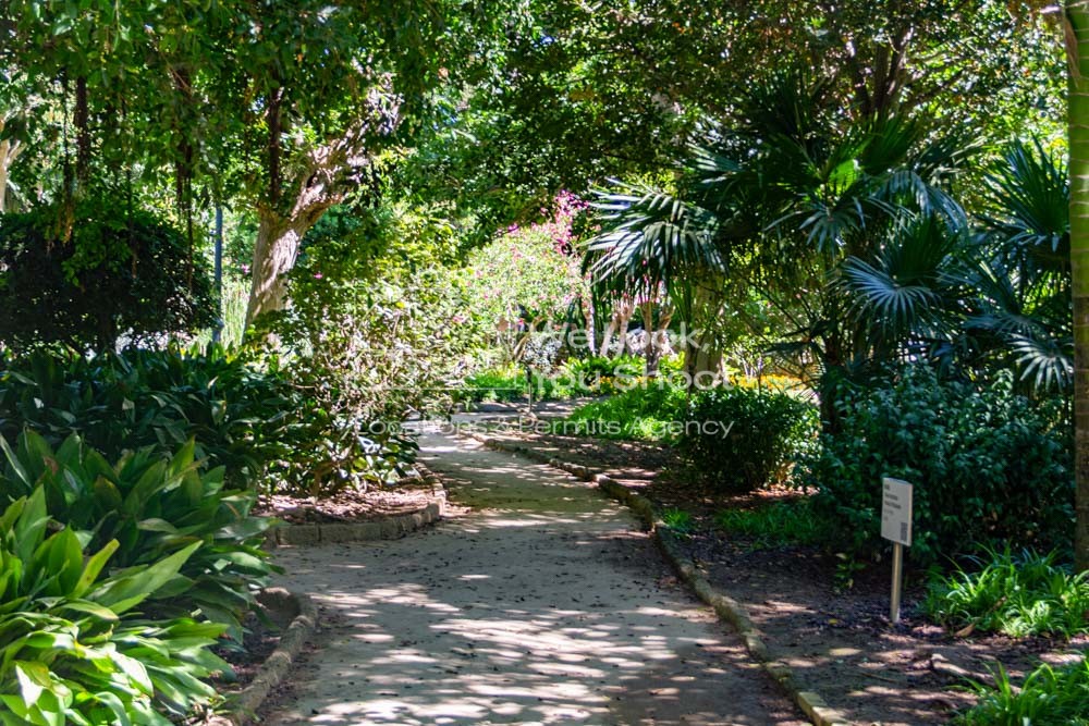 parque, bancos, plantas, albero, árboles