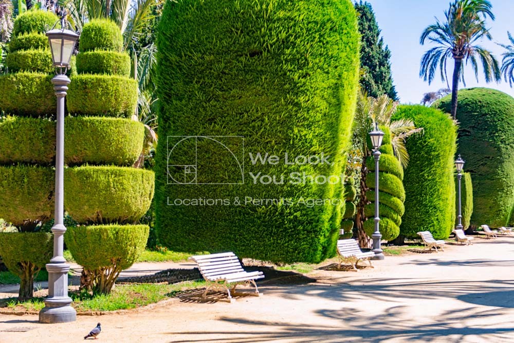 parque, bancos, plantas, albero, árboles