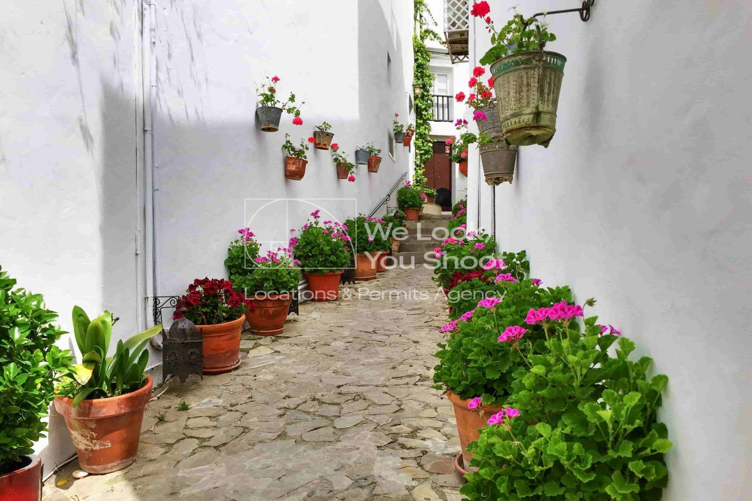 Calle interior con flores y macetas en Vejer