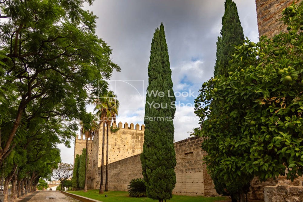 Murallas del Alcazar desde la Alameda Vieja