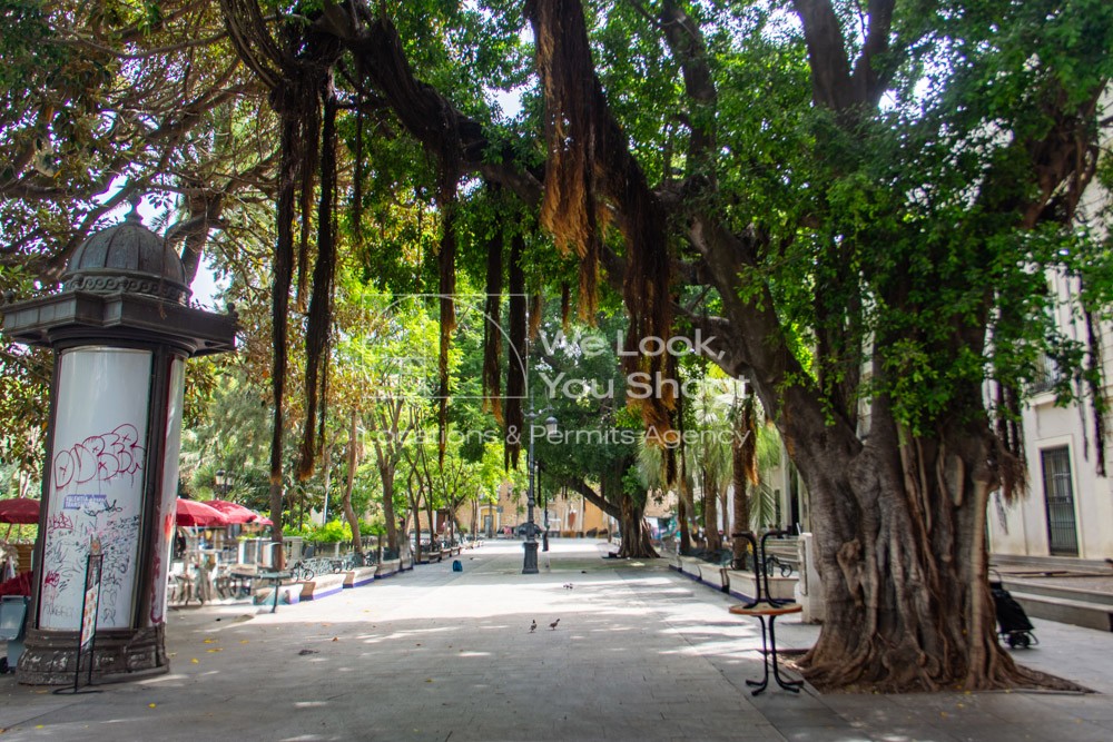 Vegetación, árboles y bancos de piedra en la Plaza Mina
