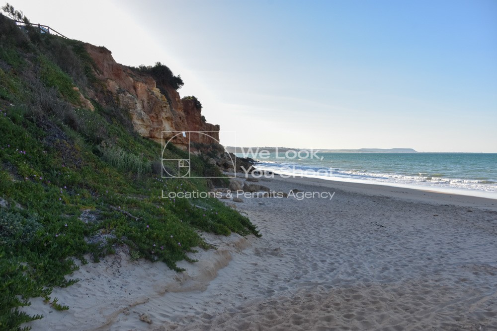 Acantilado y vegetación en una playa de fina arena